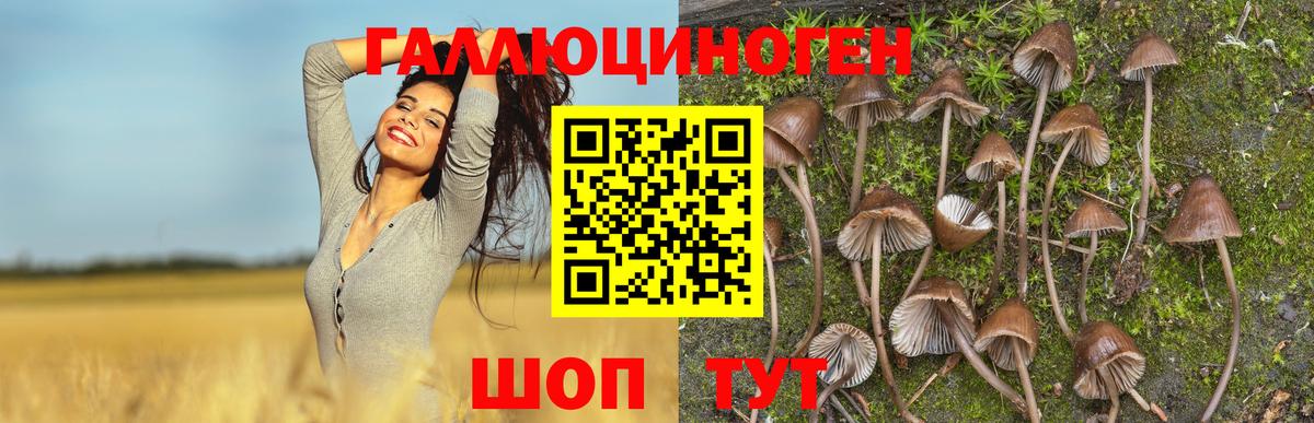 Галлюциногенные грибы мицелий Новоуральск