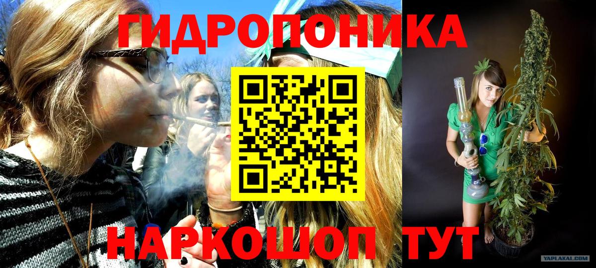 Бошки Шишки индика  Вход с VPN  Шишки марихуана семена  Новоуральск 